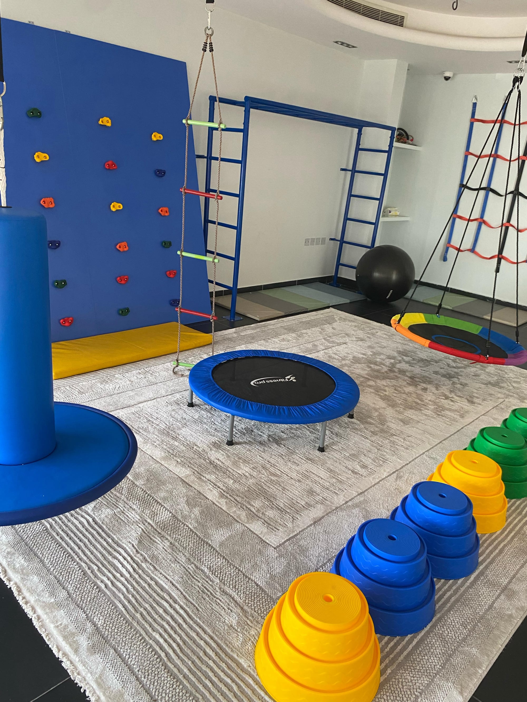 Sensory integration and occupational therapy room